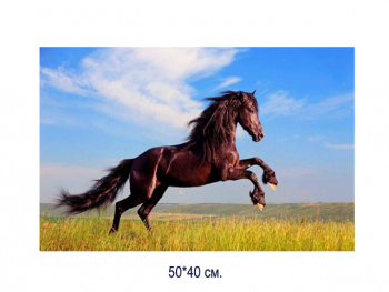 Алмазная мозаика арт. MD5105 Лошадь 40*50 полная выкладка без подрамника