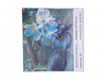 Картина по номерам арт. RA73612 Сова 40*50 в кор.