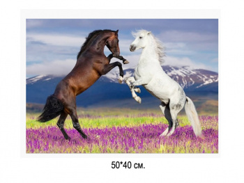 Алмазная мозаика арт. GLE76312 Лошади 40*50 полная выкладка на подрамнике