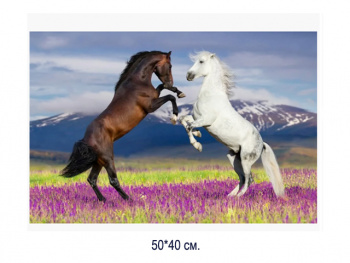 Алмазная мозаика арт. MD5112 Лошади 40*50 полная выкладка без подрамника