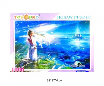 Пазл арт. 100410 "Волшебная ночь" 1000 дет. в кор._