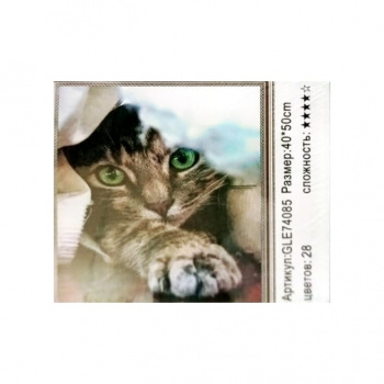 Алмазная мозаика арт. GLE74085 Зеленоглазый кот 40*50 полная выкладка на подрамнике