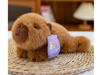 им Капибара арт. YE250910-3-5 Лежит в пак.) им Капибара арт. YE250910-3-5 Лежит в пак.)